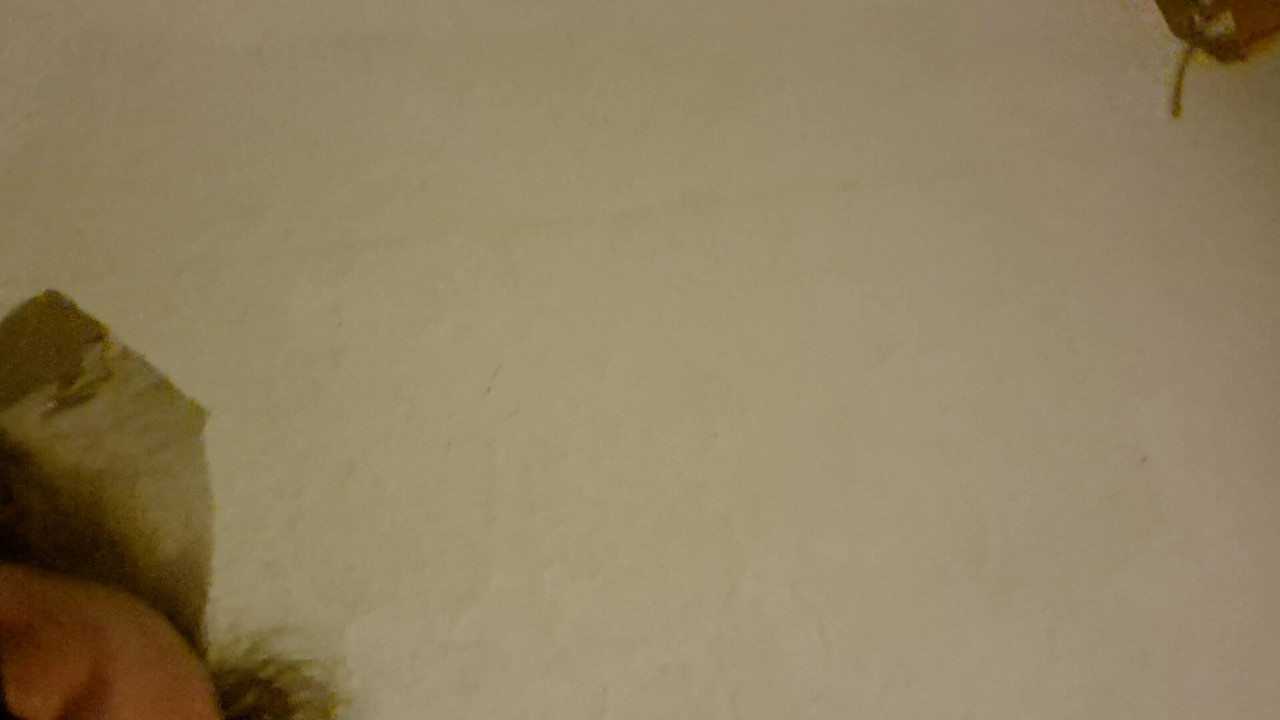 Masturbshort