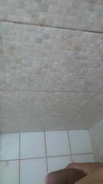 Showing my dick in the shower