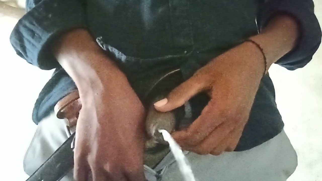 desi box sexy  cock