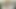 ベガ・ヴィクセン、別名サンディ - バスフィンガリング!