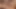 Hooters Girl Break In (Extended Preview)