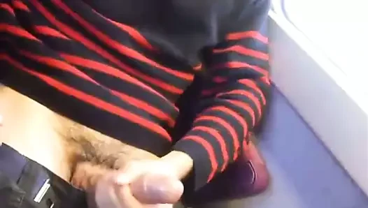 Esvaziou saco no onibus