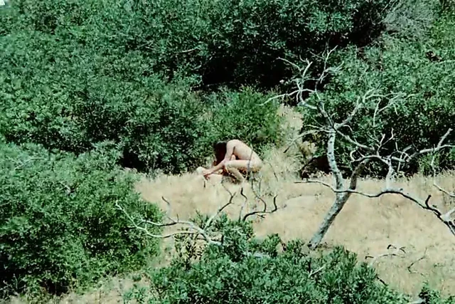 101 Acts Of Love (1971)