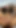 Thrilling moment from "Me and my sexy desi muslim girlfriend full enjoy and hard sex"
