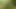 She was ready for anal sex when she met the handsome guy in the forest