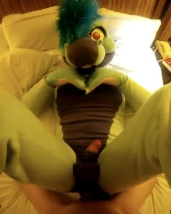 Sex furrry cum inside