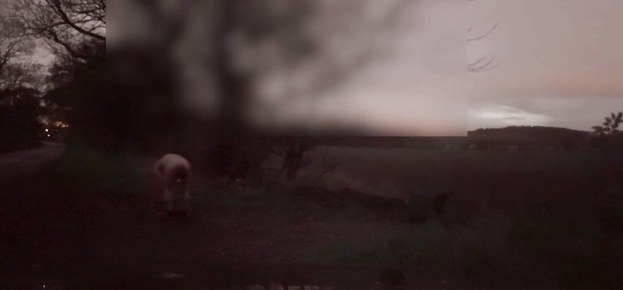 Drkanje u body čarapama, izbjegavanje automobila koji prolaze