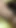 Spectacular moment from "Mallu Pregnant Girl fucked after bath"