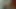 vid18726