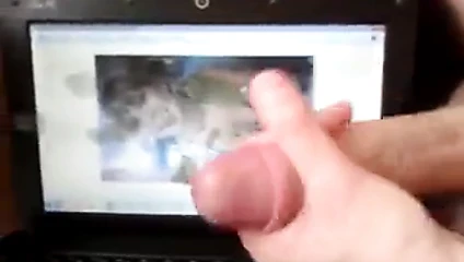 Amy cumtribute