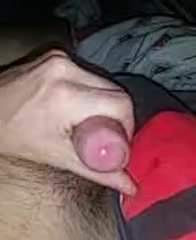 Sperm