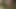 Beautiful blonde girl pussy fucking pussy licking in 69 position...cum in mouth