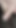 Sunday morning wood May 26,2024
