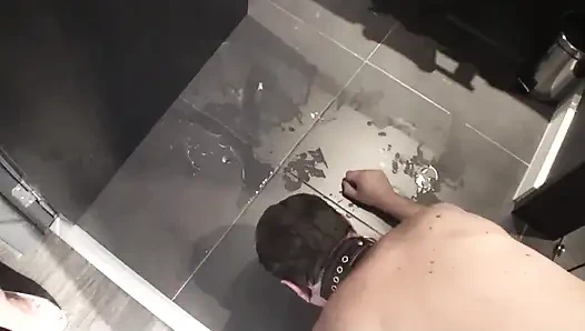 Jilat lantai kamar mandi untuk bersinar