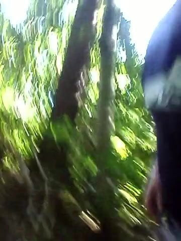 Im Wald