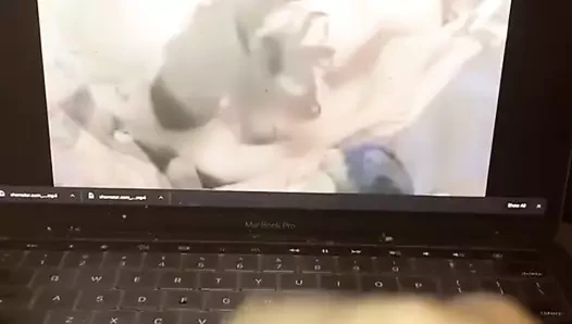 mastürbasyon için porno