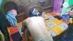 Pregled videozapisa