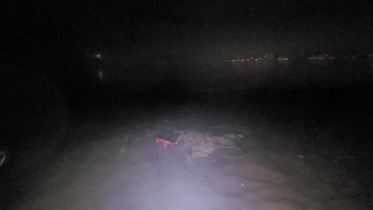 oiled masturbating on nude beach at night