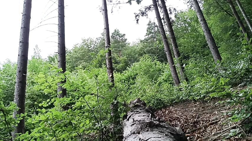 Back at the Scene Rough Forest Fap with Massive