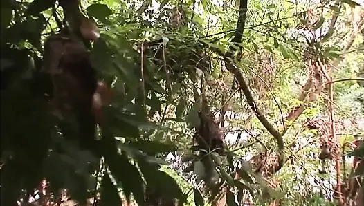 Wild Fetish Extreme Love