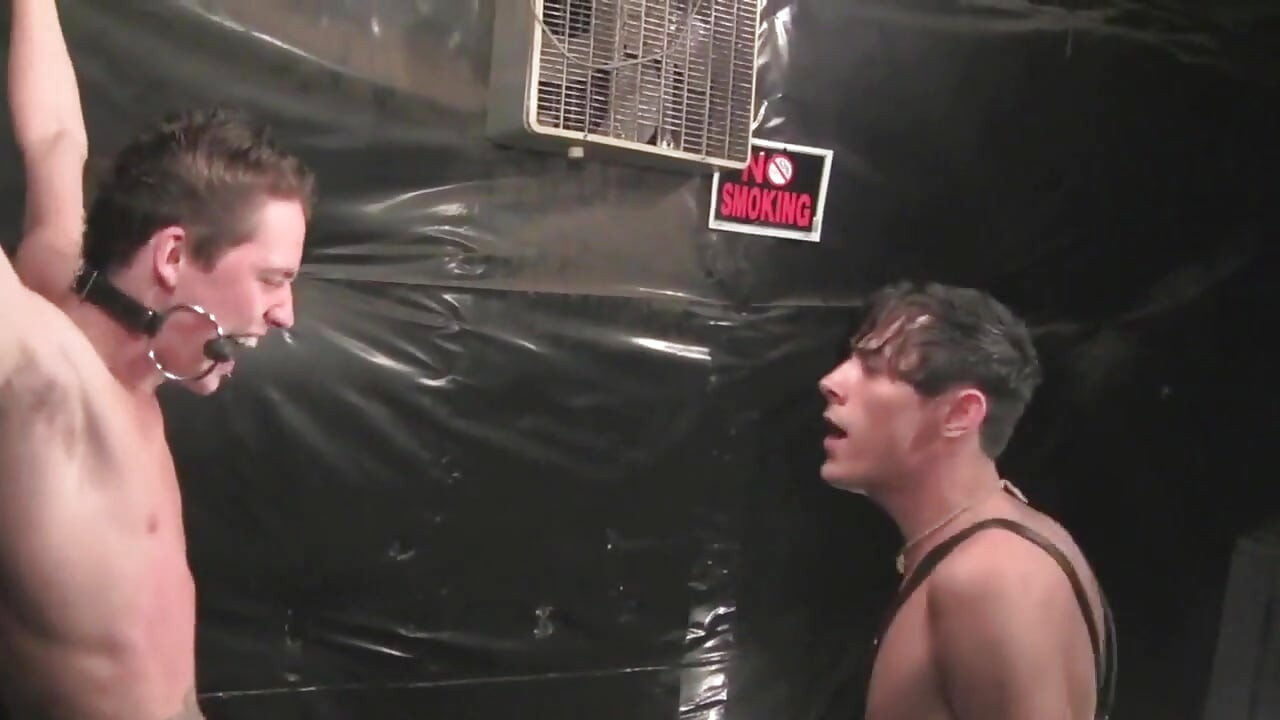 พฤติกรรมของแบบจําลอง - บทที่ 3