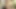Adriana Chechik eats creampie out of Jasmine Jae – All Group Sex