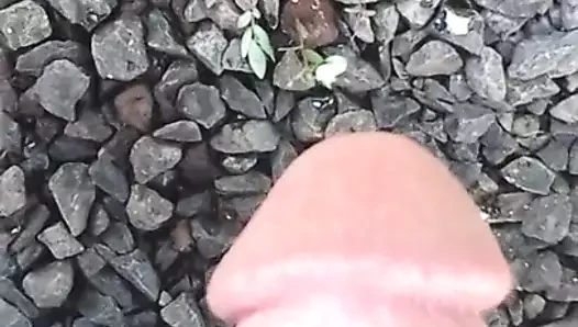 Tıraşlı horoz, benim horozumu seven herkes için dışarıda görüntülendi. teşekkürler