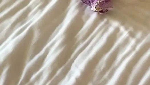 Tatilde bağlı yeni oyuncakla çoklu orgazm