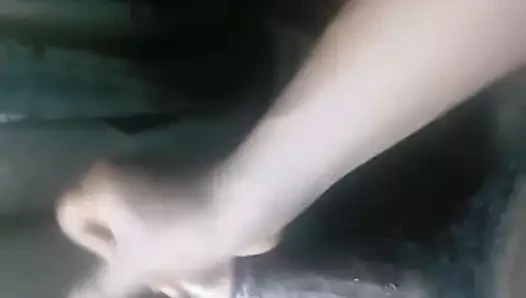 siyah horoz için arap ganimet