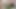 Tante semok latina rambut pirang lagi asik muasin memeknya di dapur - pov