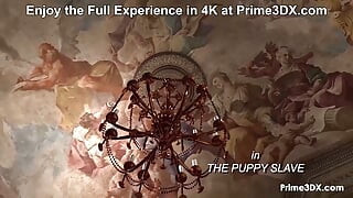 Prime 3DX