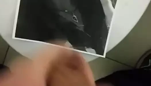 haraç