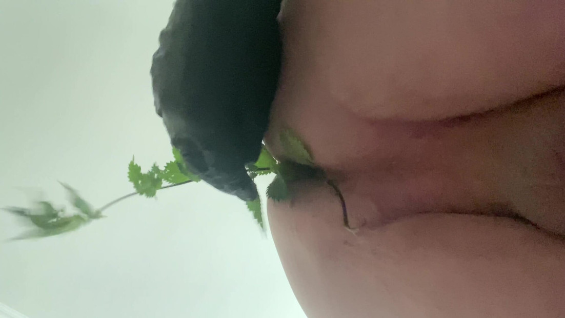 Neka netko pomogne