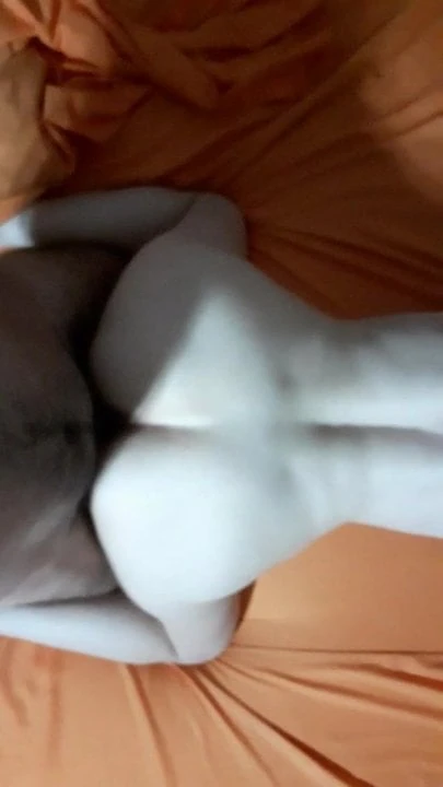 Milf doggy POV
