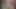 Grandpa Daddy Kal update My cum loads are getting better