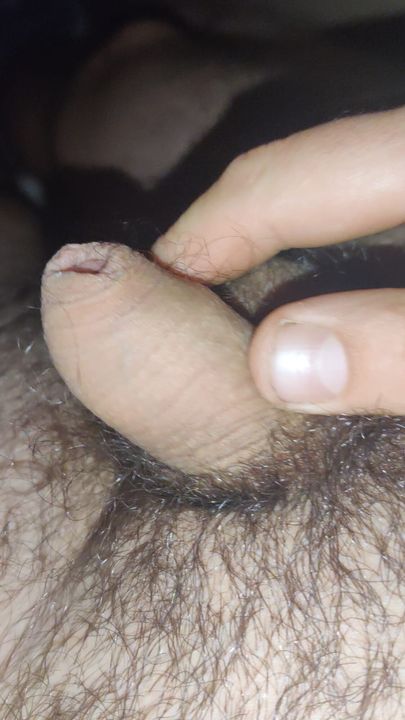 Young hairy uncut dick