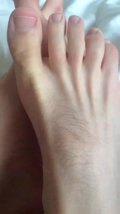 Come snif my feet you pigs !