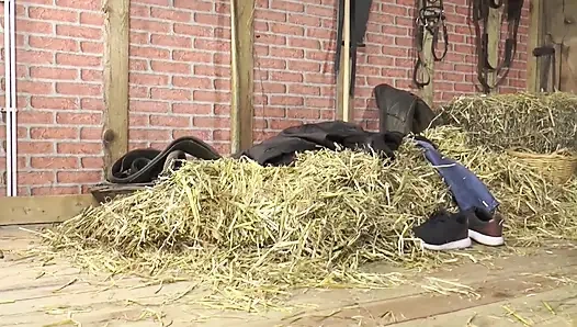 Vollbusige Schlampe Nimmt Stierschwanz Tief in Den Hals Und Bekommt Muschi Und Arsch Roh Geritten!