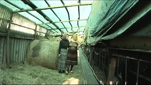 Орхидея-шлюха (фильм)