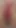 Memorable moment from "Big pussy in close-up masturbating with 25cm dildo ,big clitoris making cream with pussy ,female cumshot"