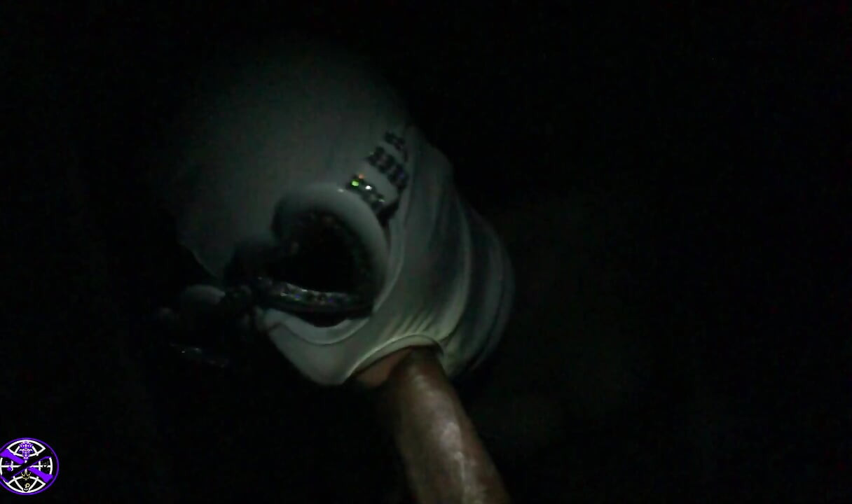Fantasy Spotlight Blowjob of Her Dreams