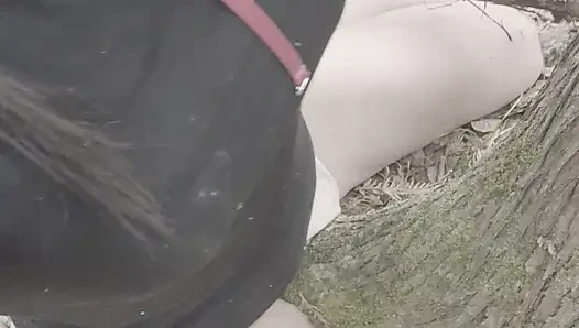 Humping the tree on my hike