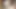 Indian girls spit cumtribute