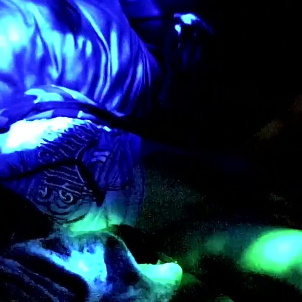 Tristan Hollister i Carlos