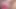 Big Lips Bimbo Brat Sucking Cock