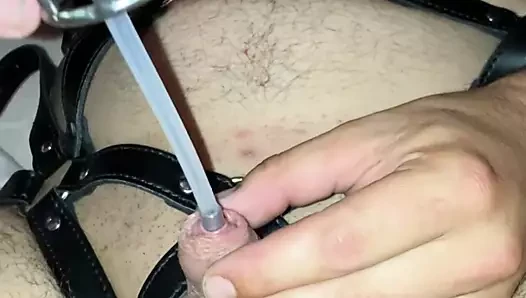 Dick insert