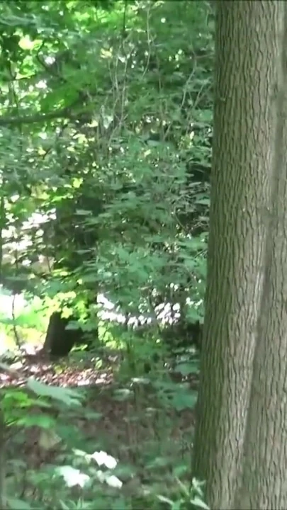 Must-see moment from "TWO STRANGER SEDUCE GERMAN BBW TEEN in Berlin to Fuck PUBLIC"