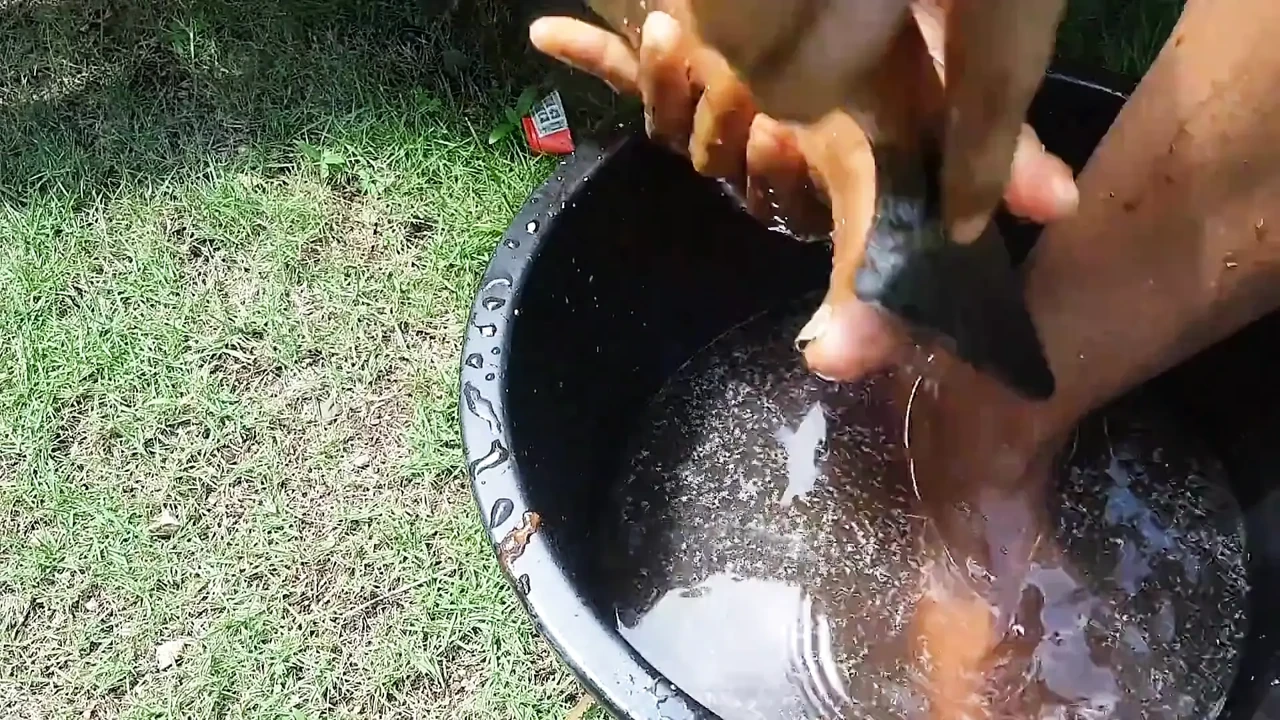 Deep Scrub with Coffee and Honey