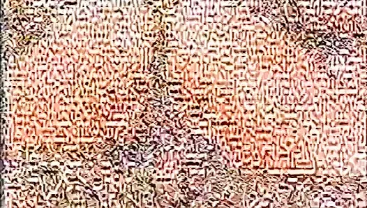 Duyurulan bir kariyerin günlükleri (1990)