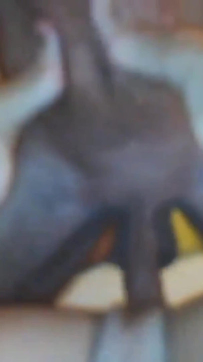 Selena's unexpected close up sex